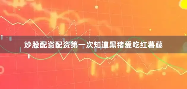 炒股配资配资第一次知道黑猪爱吃红薯藤