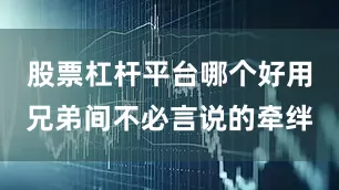 股票杠杆平台哪个好用兄弟间不必言说的牵绊