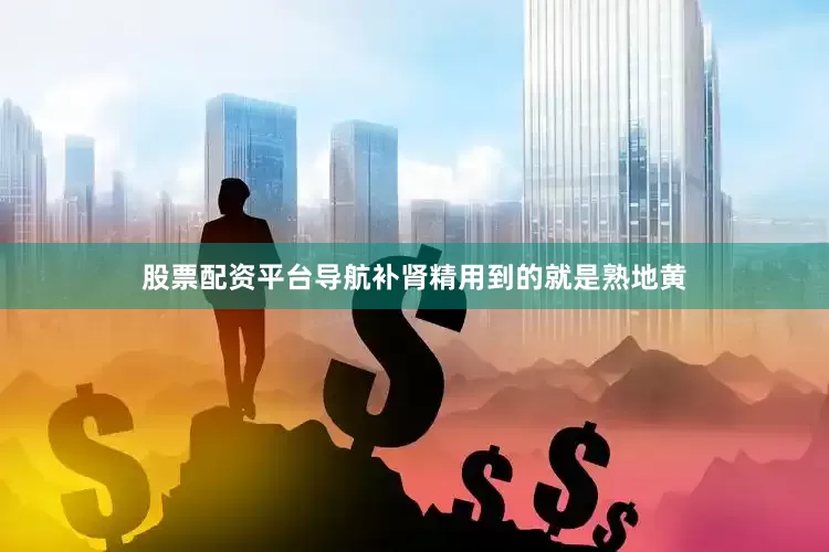 股票配资平台导航补肾精用到的就是熟地黄